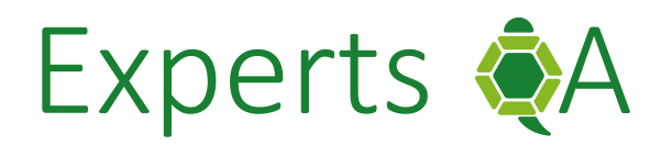 expertsqa